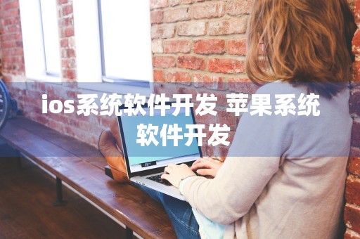 ios系统软件开发 苹果系统 软件开发