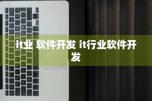 it业 软件开发 it行业软件开发