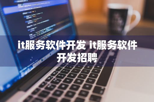 it服务软件开发 it服务软件开发招聘