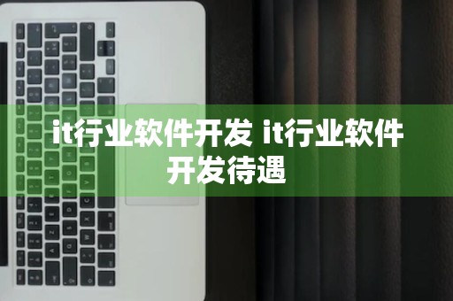 it行业软件开发 it行业软件开发待遇