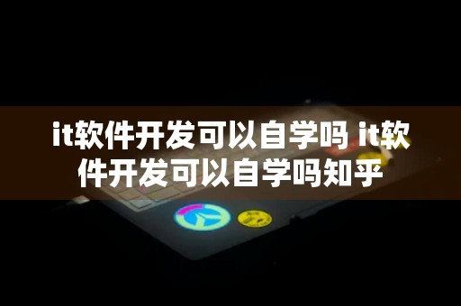 it软件开发可以自学吗 it软件开发可以自学吗知乎