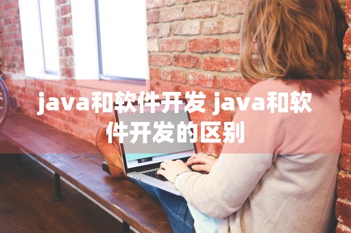 java和软件开发 java和软件开发的区别