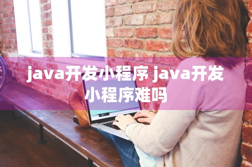 java开发小程序 java开发小程序难吗