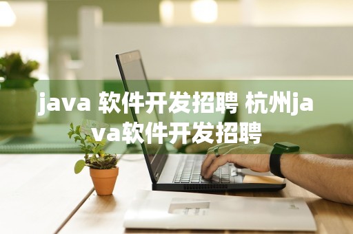 java 软件开发招聘 杭州java软件开发招聘