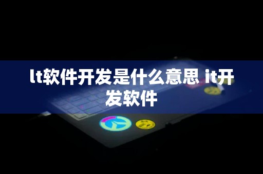 lt软件开发是什么意思 it开发软件