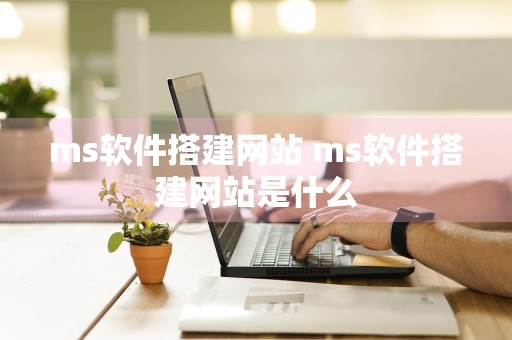 ms软件搭建网站 ms软件搭建网站是什么