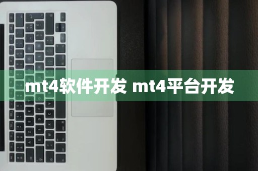 mt4软件开发 mt4平台开发