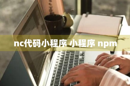 nc代码小程序 小程序 npm