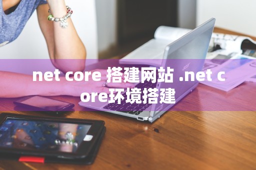 net core 搭建网站 .net core环境搭建