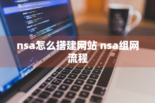 nsa怎么搭建网站 nsa组网流程