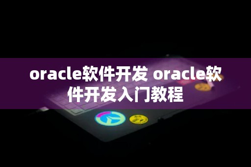 oracle软件开发 oracle软件开发入门教程