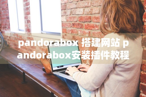 pandorabox 搭建网站 pandorabox安装插件教程