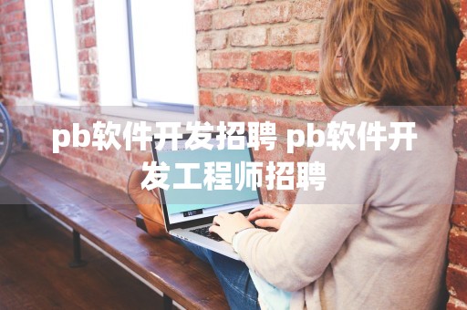 pb软件开发招聘 pb软件开发工程师招聘