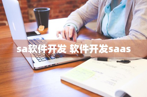 sa软件开发 软件开发saas