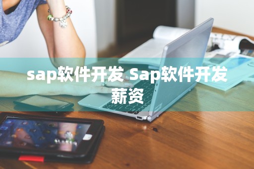 sap软件开发 Sap软件开发薪资