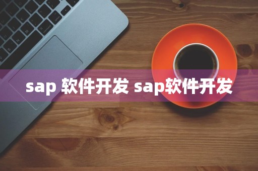 sap 软件开发 sap软件开发