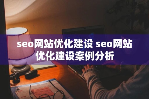 seo网站优化建设 seo网站优化建设案例分析