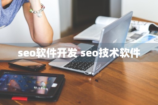 seo软件开发 seo技术软件