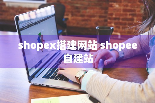 shopex搭建网站 shopee自建站