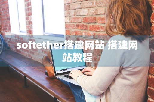 softether搭建网站 搭建网站教程