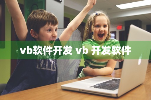 vb软件开发 vb 开发软件