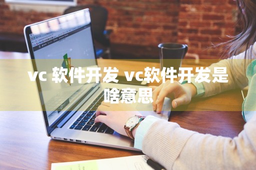 vc 软件开发 vc软件开发是啥意思