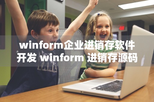 winform企业进销存软件开发 winform 进销存源码