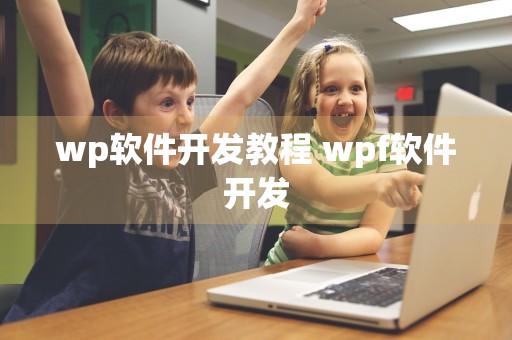 wp软件开发教程 wpf软件开发