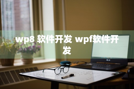 wp8 软件开发 wpf软件开发